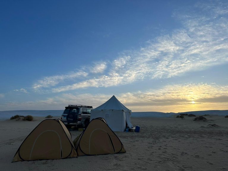 1‑Night / 2‑Day The Desert, The White And Black Oases